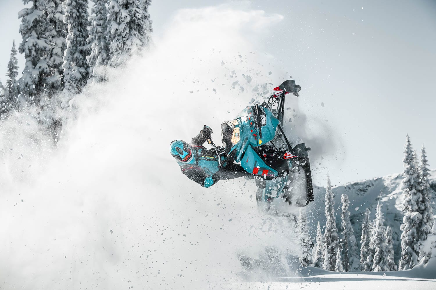 Ski-Doo Freeride 2019