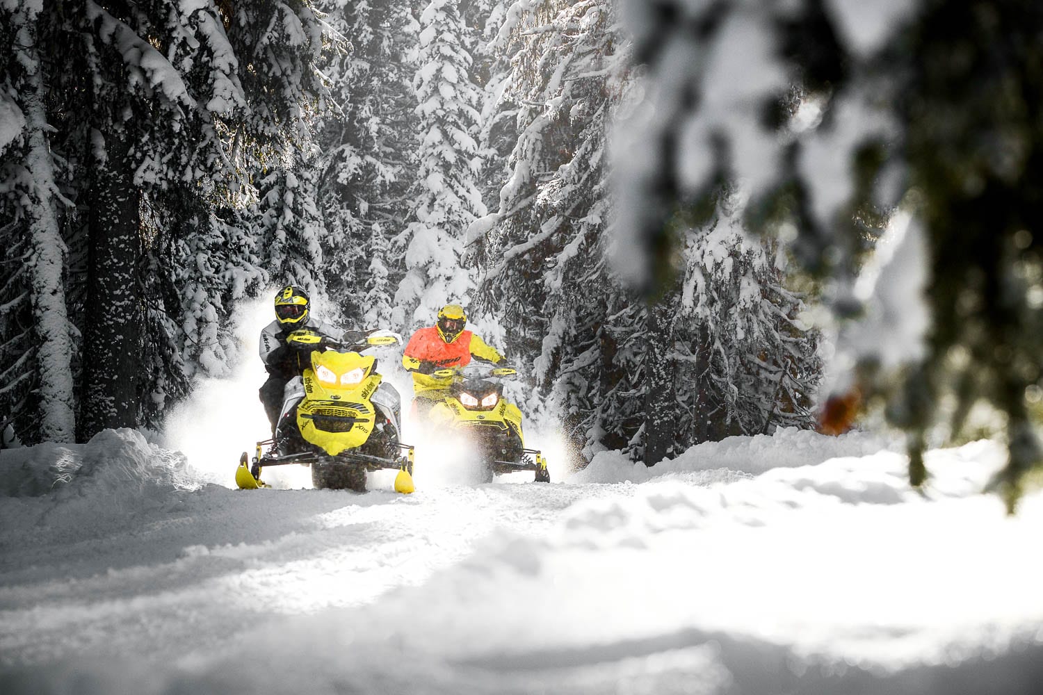 2019 Ski-Doo MXZ