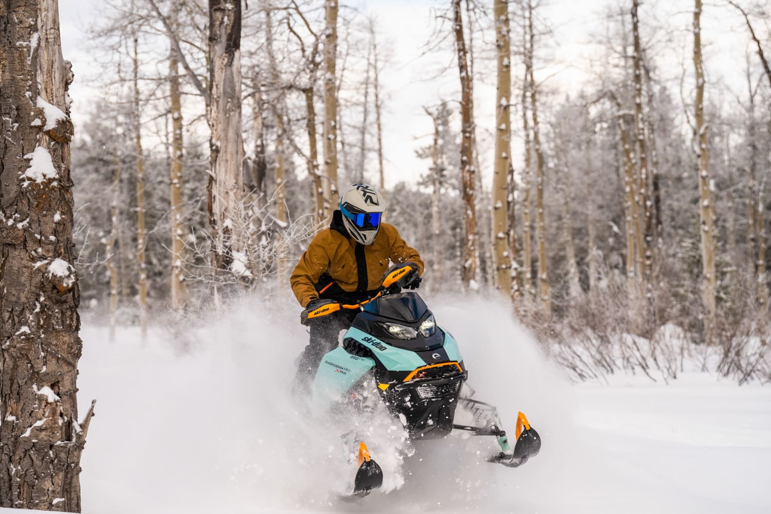 2024 Ski-Doo Backcountry