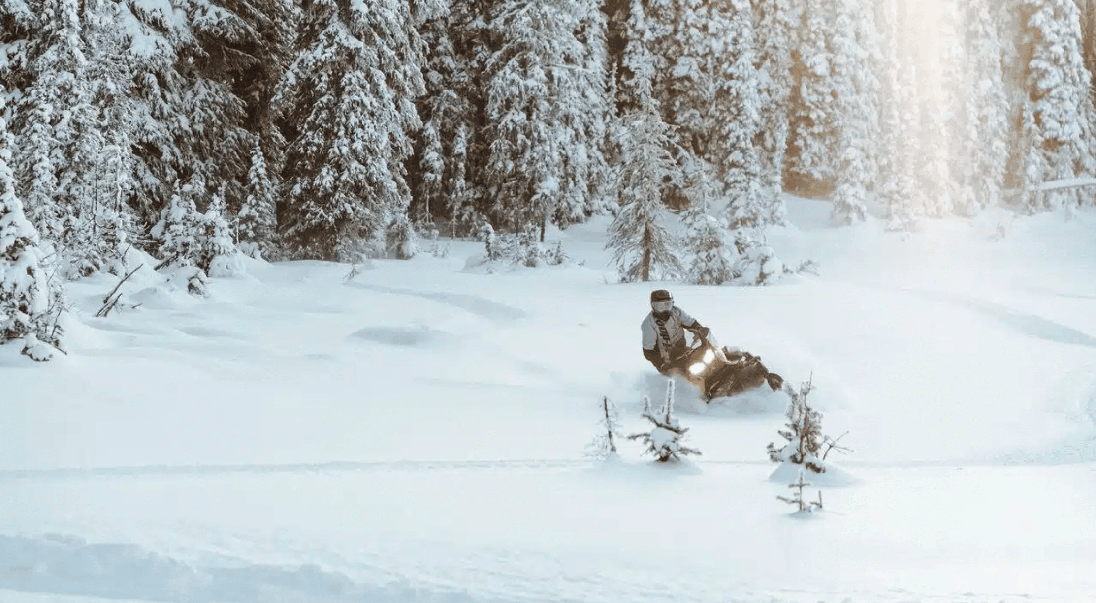 2024 SkiDoo Tundra Snowmobile Passion